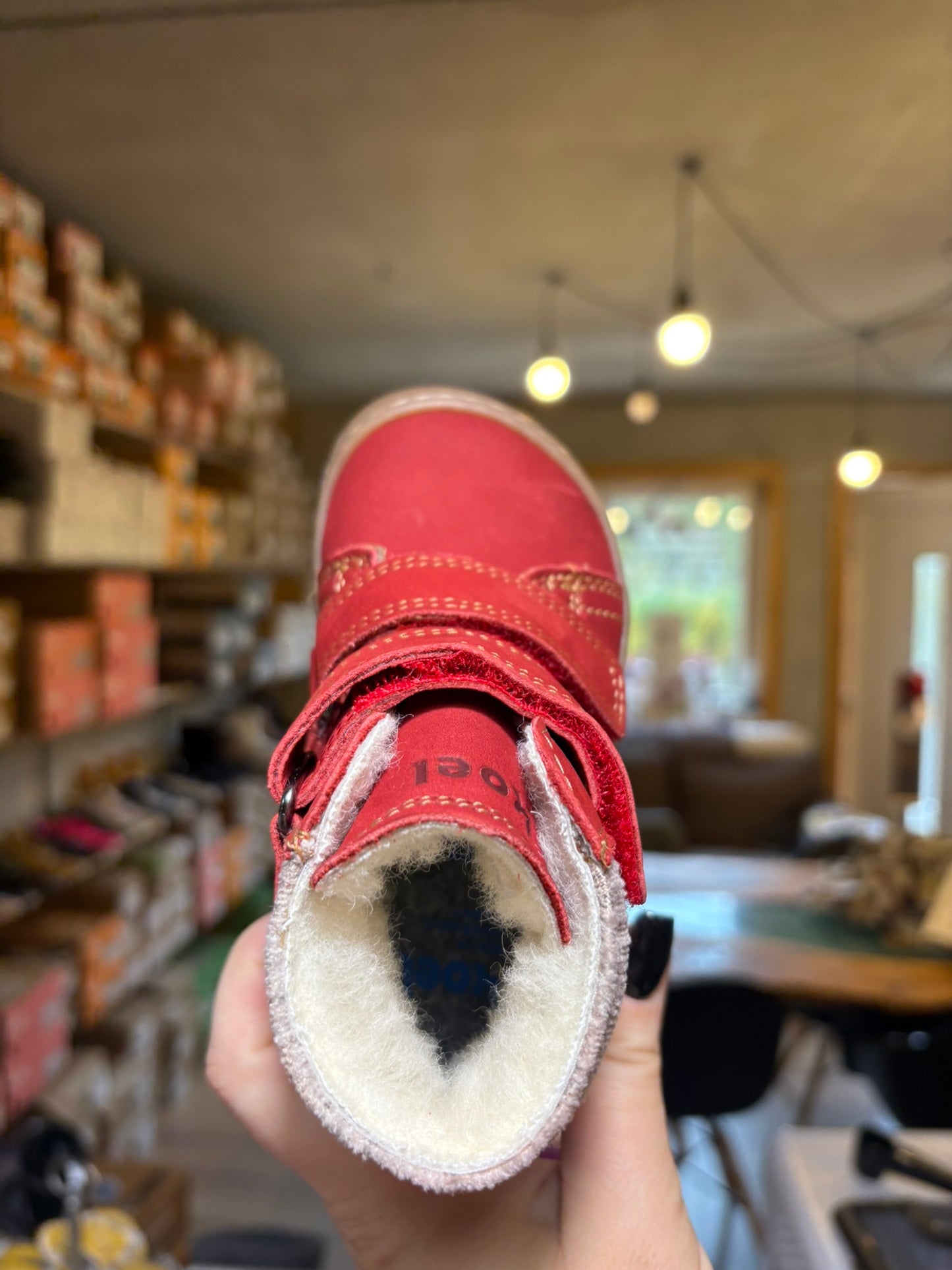 Koel Dean 2.0 WP wool
