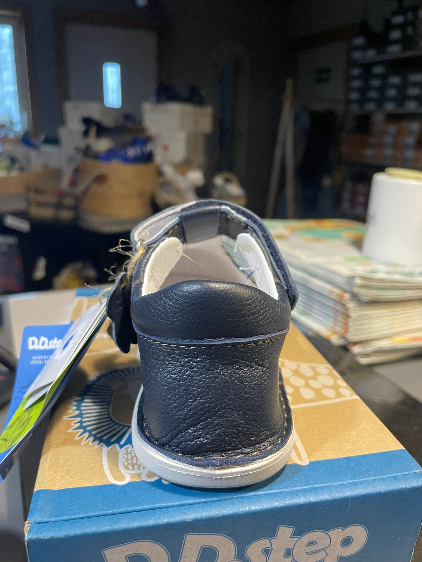 D.D.Step Royal (G077-41892M)