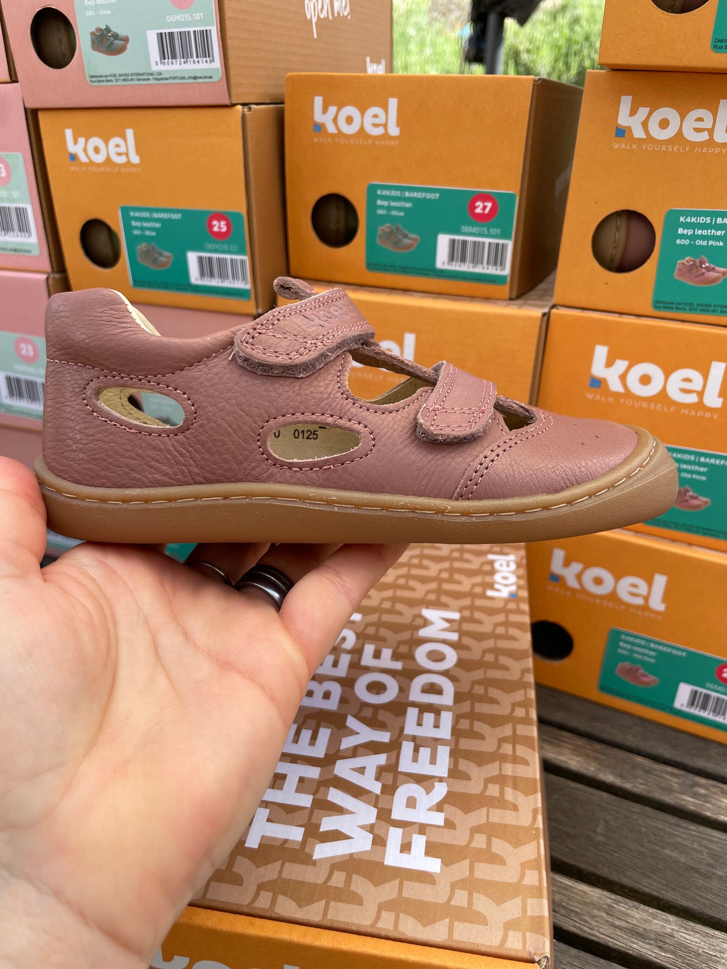 Koel Bep