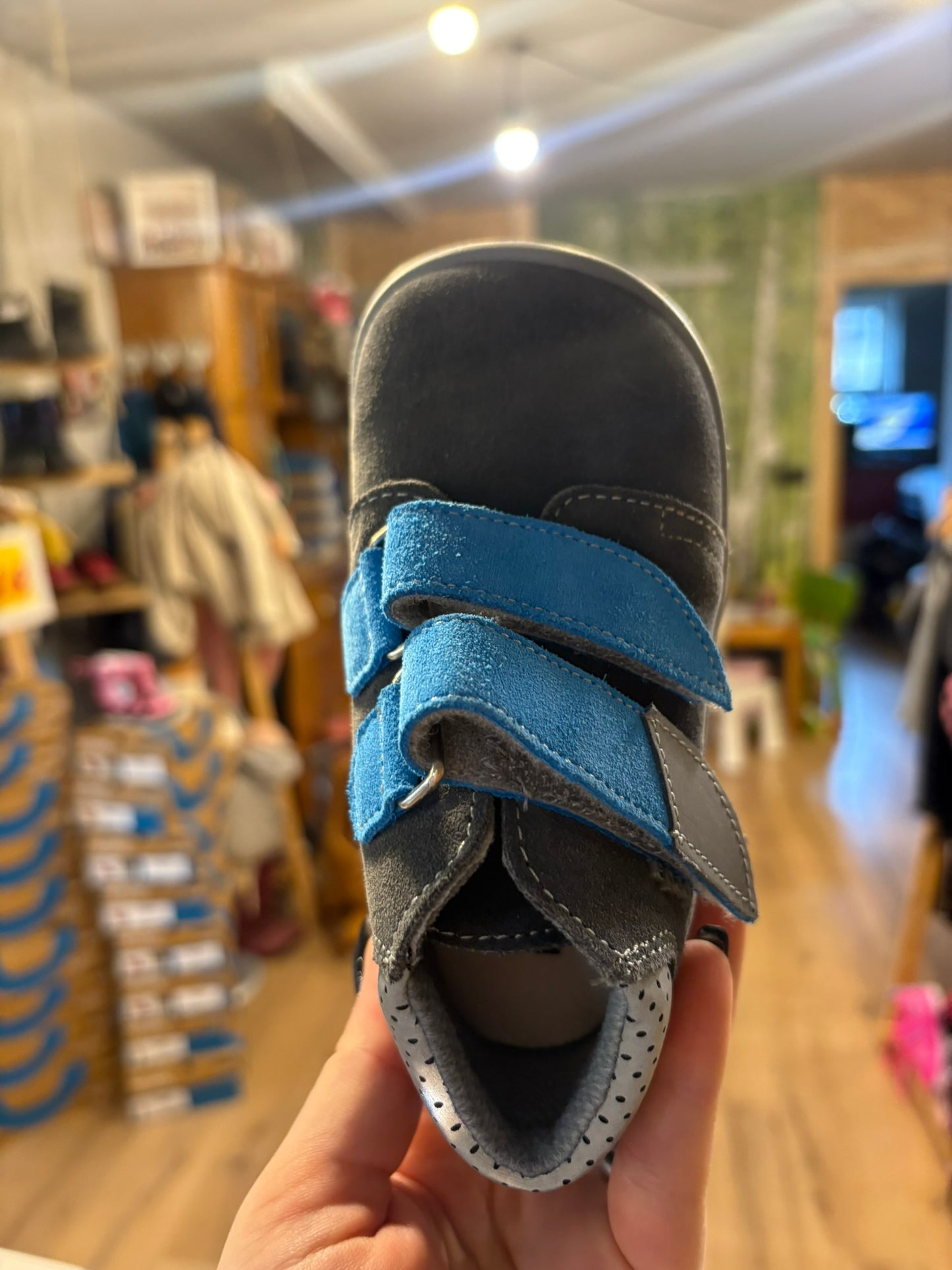 Beda Robin BF 0001/W/M