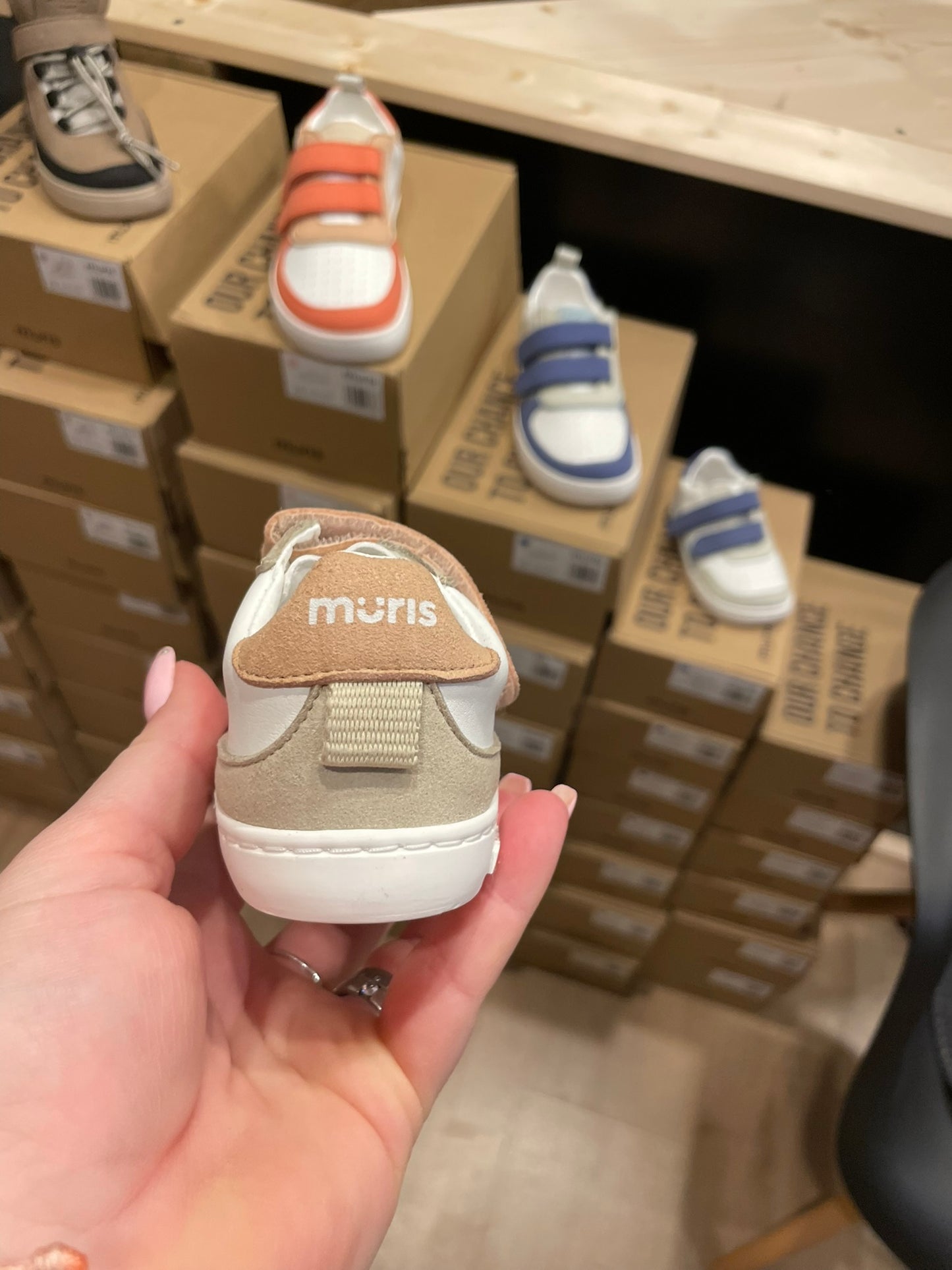 Muris Petra Mini